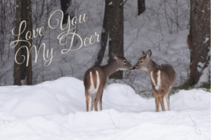 JDW 4797 Love You My Deer